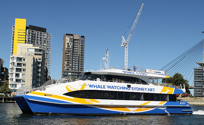 New Years Eve Fireworks Cruise, Sydney Harbour, Darling Harbour, Ocean Dreaming 2